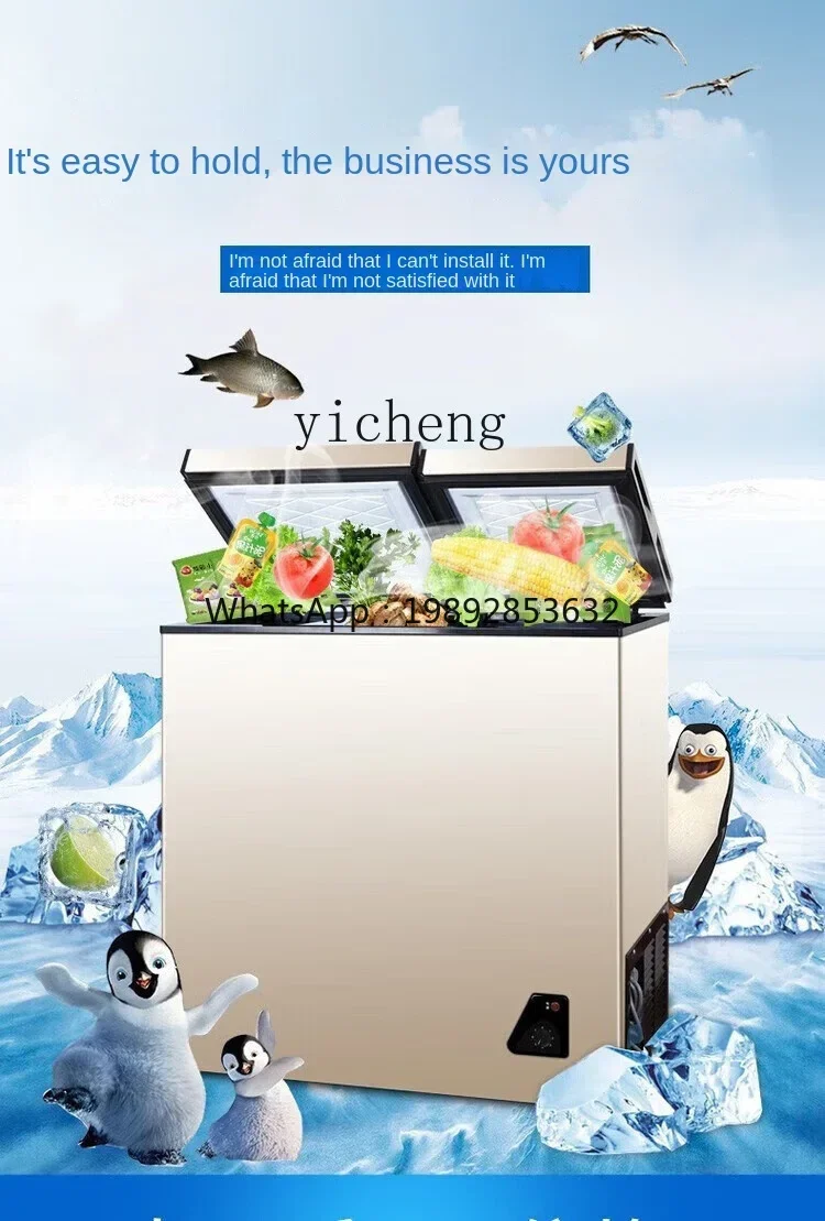 Food Storage And Temperature - Congelatore Domestico Compatto a Basso Consumo