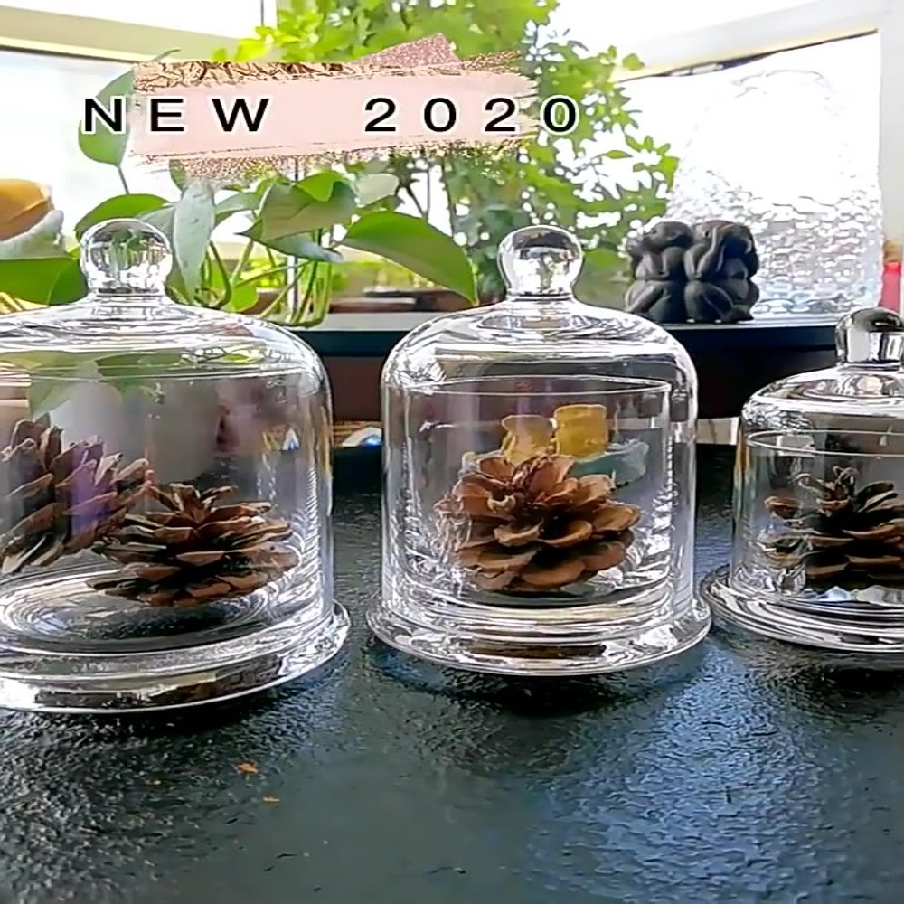 Food Storage Of Plants - Barattolo in Vetro per Fiori Eterni,