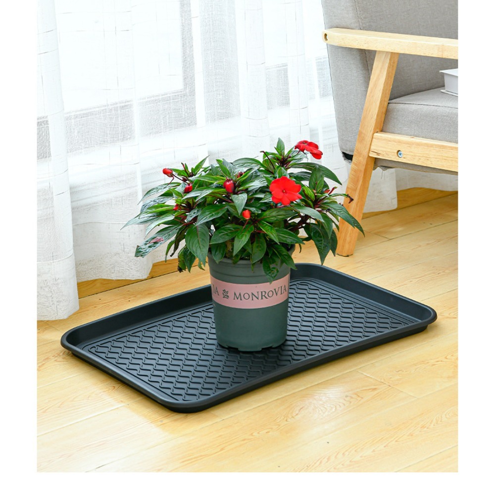 Food Storage Of Plants - Vassoio in plastica multifunzionale, vassoio versatile