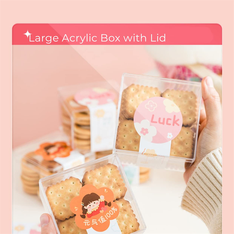 Scatole acriliche trasparenti  - Xmas Food Storage Containers recensione e prezzo