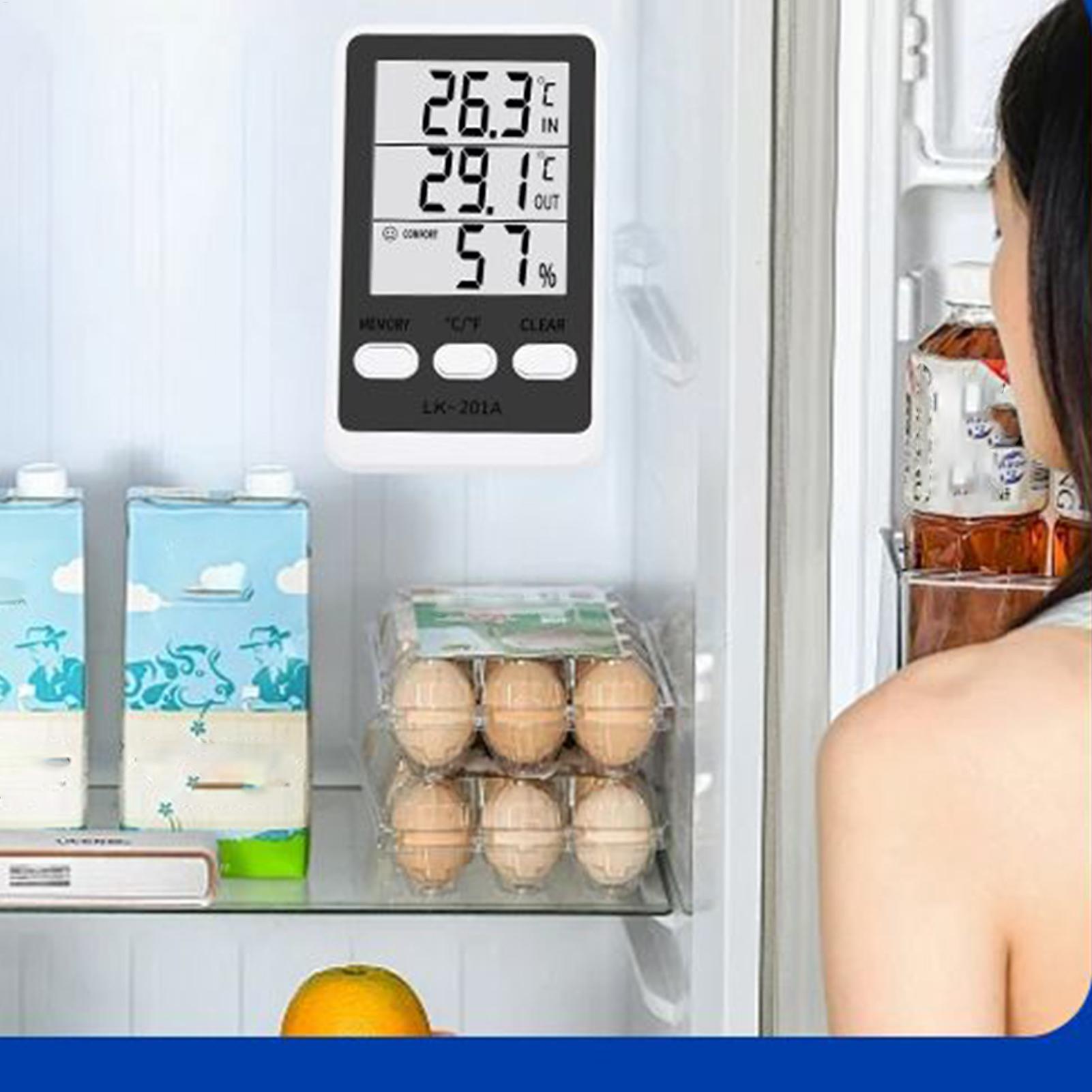 Misuratore di temperatura del  - Food Storage And Temperature recensione e prezzo