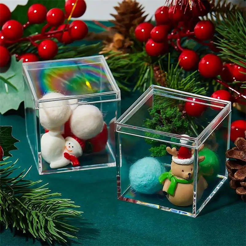 Scatole acriliche trasparenti  - Xmas Food Storage Containers recensione e prezzo