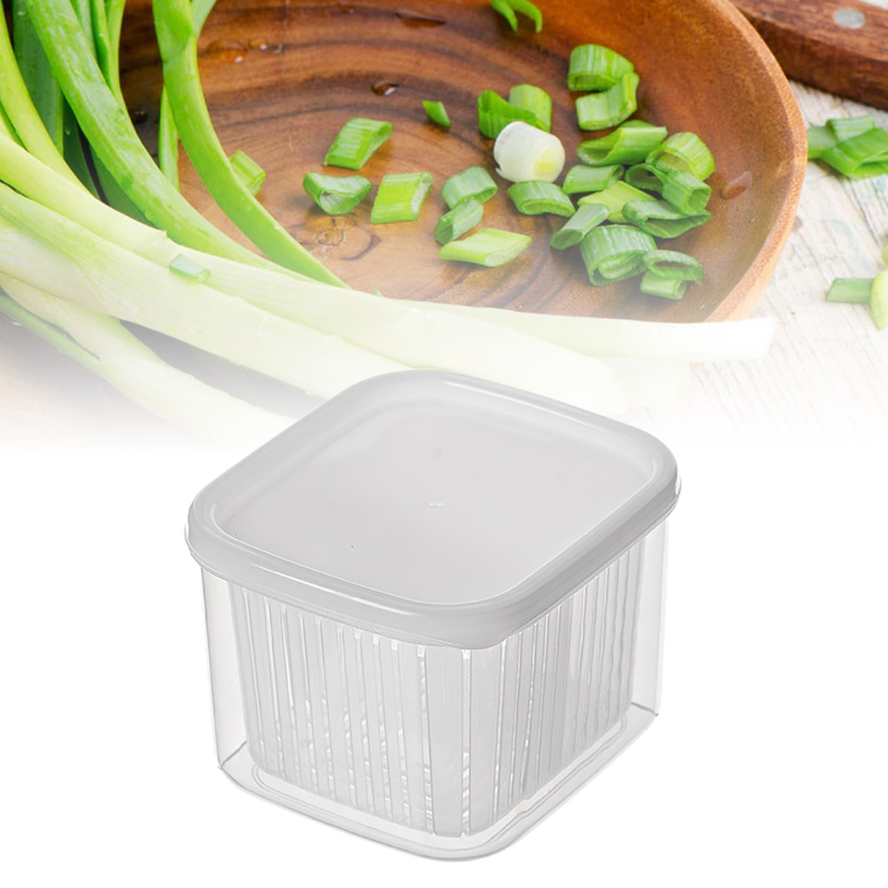 2 Contenitori Pratici in PP pe - Food Storage Practices recensione e prezzo