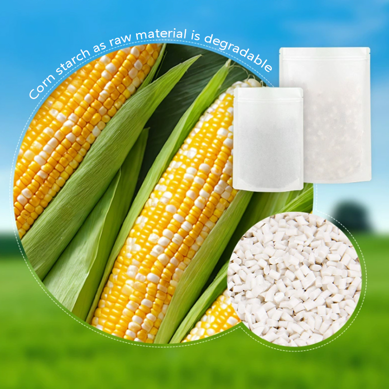 Sacchetti con cerniera in cart - Food Storage Of Plants recensione e prezzo