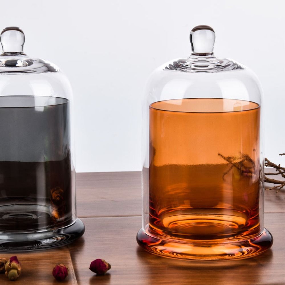 Barattolo in Vetro per Fiori E - Food Storage Of Plants recensione e prezzo